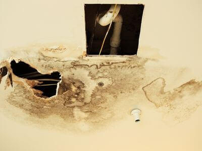 Professional water damage restoration services in Calgary